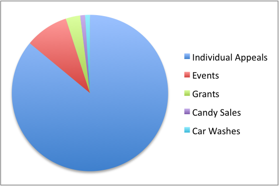 Sample Fundraising Activities pie chart