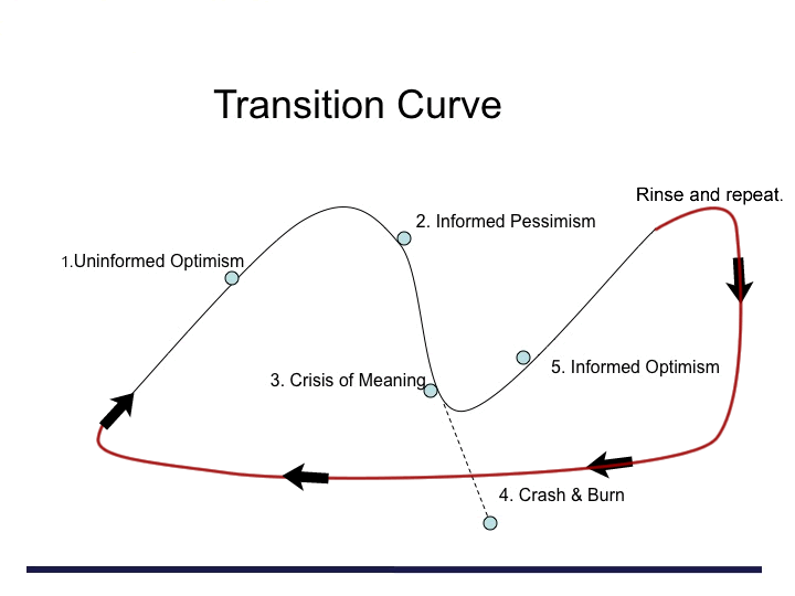 The Transition Curve for Non-Profits - a continuous loop of ups and downs